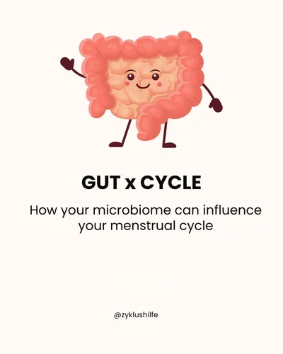 Gut x Cycle, how your microbiome can influence your menstrual cycle